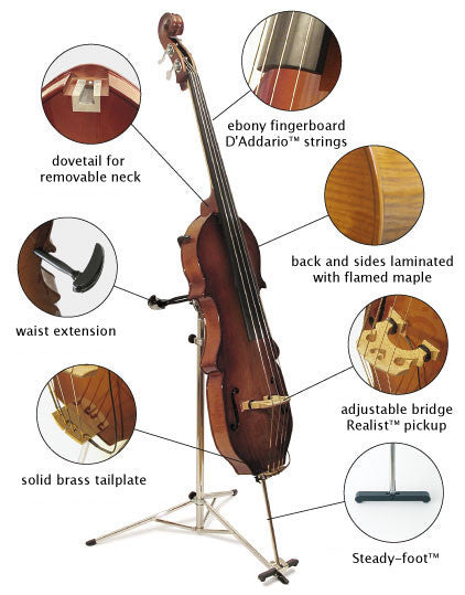 Eminence® Electric Upright Bass – The Acoustic Bass Shop